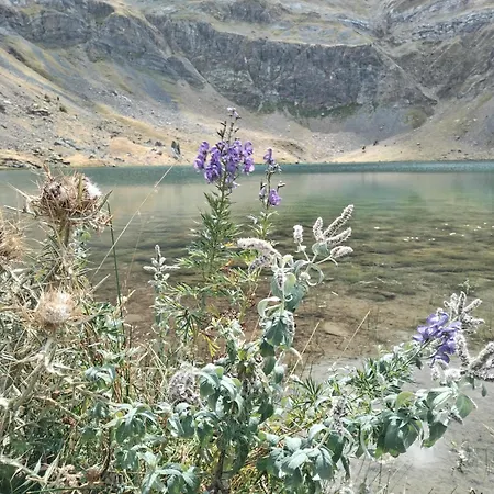 Lägenhet Casa Lobo Panticosa